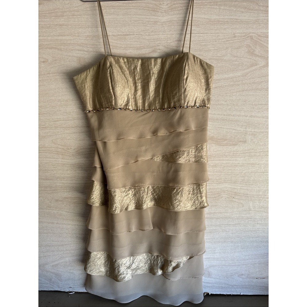 S.L Fashions Champagne/beige Tier Chiffon Dress Sz 18